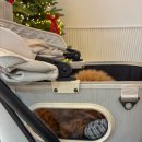 글로리아 켄넬 이미지