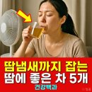 좋은차 티스토리