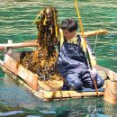 심곡어촌체험휴양마을 이미지