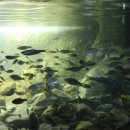 대전아쿠아리움 이미지