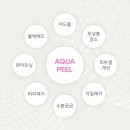 송파아쿠아