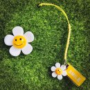 제이스퀘어QED골프아카데미 이미지