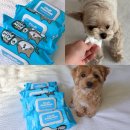 클린축산 | 클린포포 강아지 고양이 반려동물 물티슈 동물티슈 사용 후기