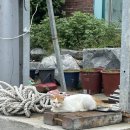 해남바다낚시터 이미지