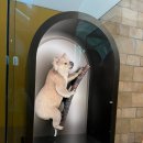 대영약국 | 김장부부의 구혼여행기 런던 2일차 - 자연사박물관, 노팅힐, 어니스트버거, 빅벤