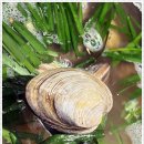 미소곱창 둔산직영점 이미지