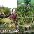 장례를돕는사람들 이미지