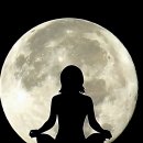 엘포트사랑방공인중개사사무소 | 드디어 내 집 마련 찐 경험담 풀어볼게!