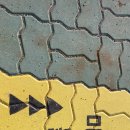 마장 매화둘레길 이미지