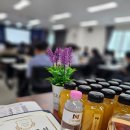 책나무배곧한라독서논술학원 | 데이터기반 비교과설계전문가과정
