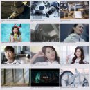 브랜드 디렉터스(BRAND DIRECTORS) 이미지