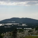 표선면-13 이미지