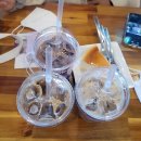 마치블루풀빌라 이미지