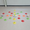 개와 집사의 시간 이미지