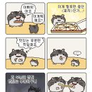 [베트남/다낭] 4월 말, 3~4일차 여행 후기 (부제: 또 먹어?)