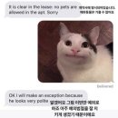 깔끔이 이미지