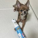 어스키퍼 | 안전한 천연성분 강아지탈취제 어스키퍼 프레쉬 펫스프레이 추천