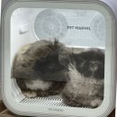 드라이37 이미지