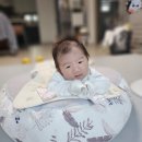 이레윅스