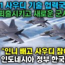 KF-21 전투기. 사우디 기술 협력국 참여 - 인니 퇴출 이미지