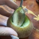 수한약국 이미지