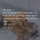 아 ㅈㄴ 웃기다 수전노도 전염되는 거엿나 이미지