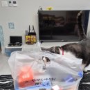 월송멕시카나 이미지