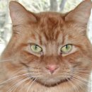 옥련여자고등학교 이미지