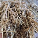 옛소농장 이미지