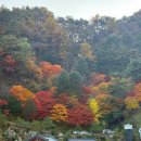 오성통닭 | 주차비, 번뇌가 사라지는 경사(세미 등산) 체험, 단양 구경시장 토종마늘솥밥 &amp; 오성통닭 마늘닭강정 후기