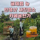 제주 사진명소 &amp; 귤따기 체험 [카페귤한가] 1.5kg 10,000원 / 무료착즙쿠폰