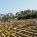 밀알농장 이미지