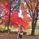 서운농장 | [아이랑 여행🚙] 아이랑 경기 포천 여행_ 단풍맛집 &lt;서운동산&gt;🍁