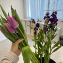 [국비지원][2/13]사진촬영, 조명 초급과정 | 안단테꽃예술학교 강남점 내일배움카드 국비지원 플로리스트 초급과정 (1)