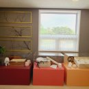 씨엘로펫 이미지