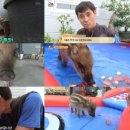 농장자동차공업사 이미지