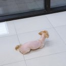 위드두유 이미지
