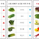 (주)청운유통 이미지