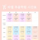 [발레] 분당 수내동 발레 학원 라엘무용학원 성인발레 일일 체험 후기 (내돈내산)