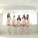 베리굿 티브이데일리