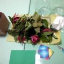 해피콤어린이집 이미지