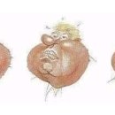 아라선 이미지