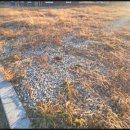 대형주차장(여) 이미지