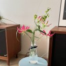 카피하우스 네이버블로그