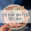 맘모스껍데기 네이버블로그