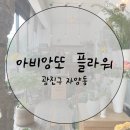 아비앙또플라워