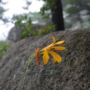 백화산약수터 이미지