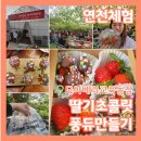 연천농촌체험 모아베리교육농장