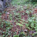 별이네농장 이미지