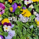 강동꽃화원 이미지